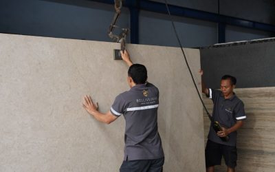 Why Choose Bellissimar for Your Next Project